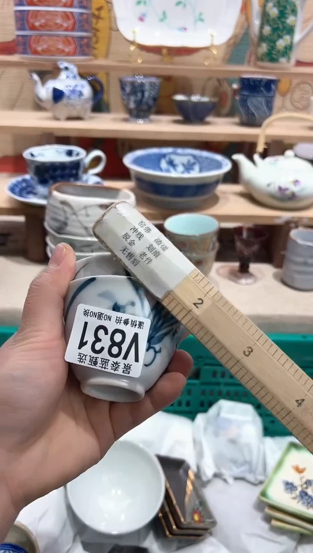 【闪购商品】瓷片当天凑满25米包邮V831