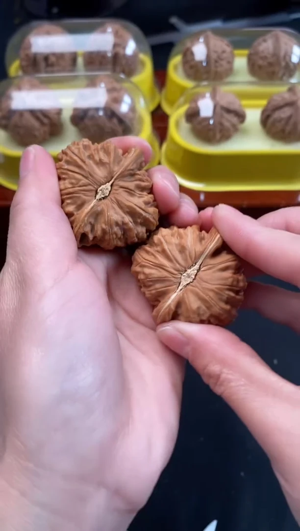 把件文玩核桃41白狮子r189