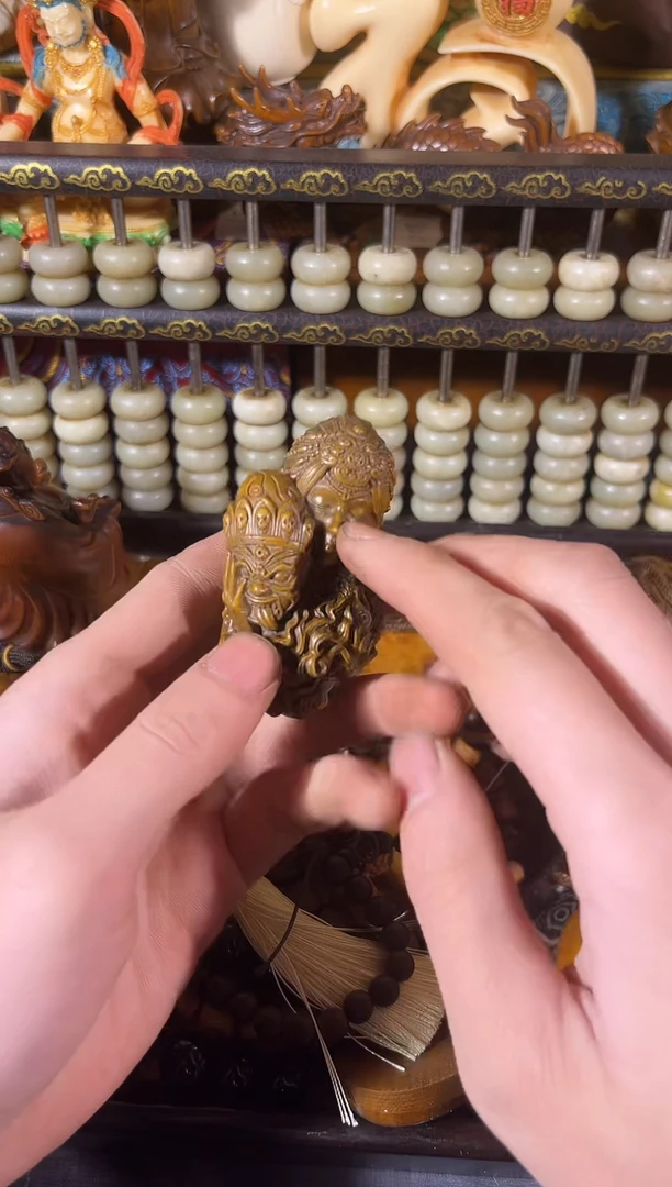 黄杨木11111111111