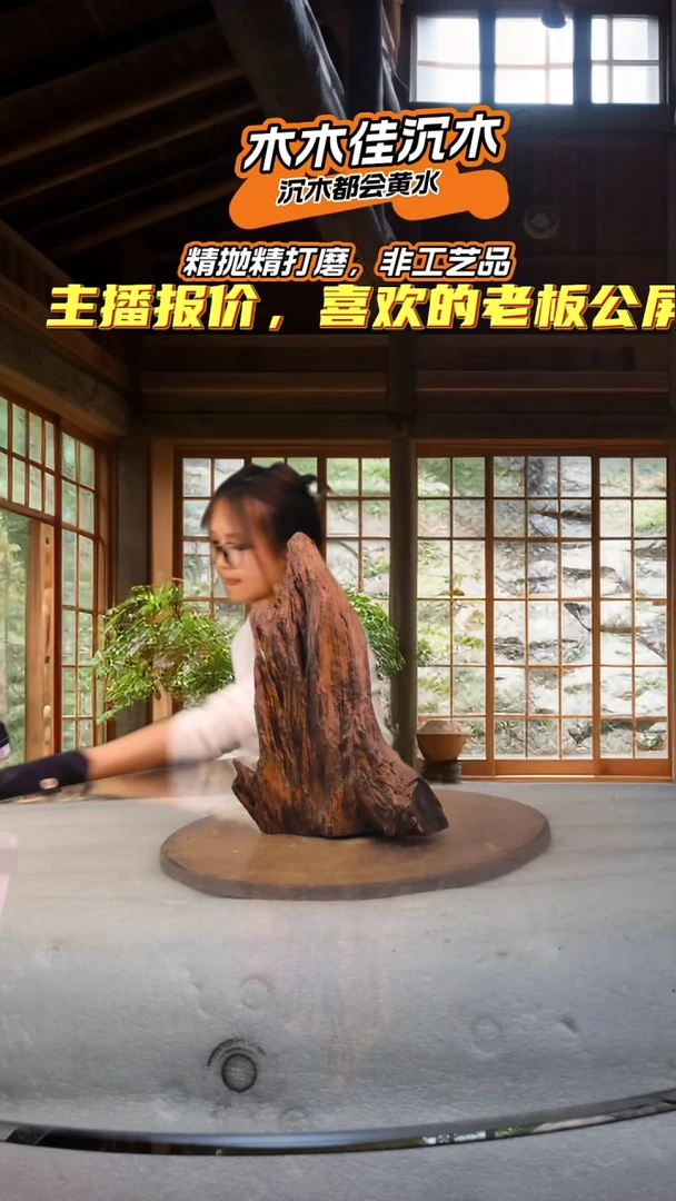 麓****?木木佳鱼缸造景沉木-806