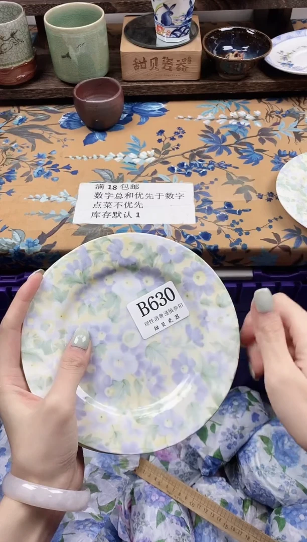 瓷片五*                B630