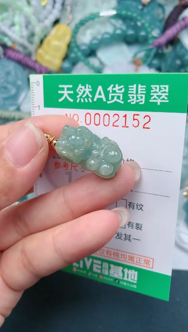 颈饰未镶嵌翡翠.0002152