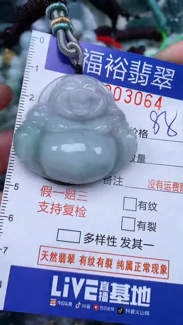 翡翠未镶嵌颈饰...0003064