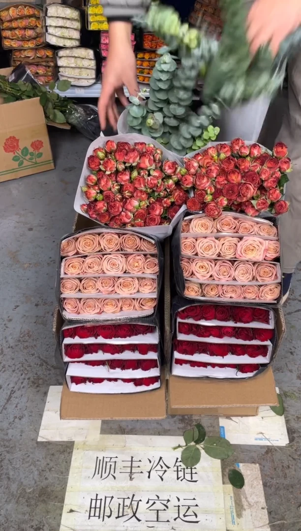 高原红20枝+卡布20枝+巧克力10枝+尤加利