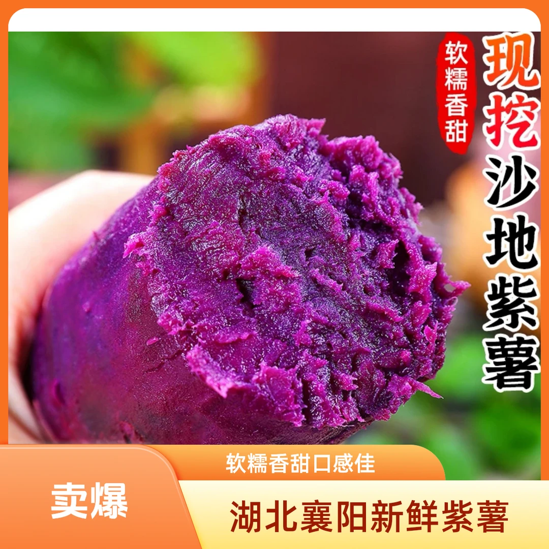 湖北现挖沙地紫薯新鲜软糯香甜可作粗粮早餐5斤装