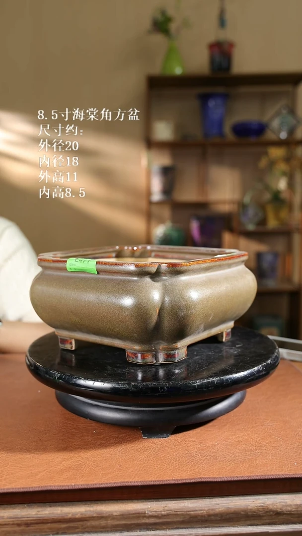 8.5寸海棠角方盆 058家居级
