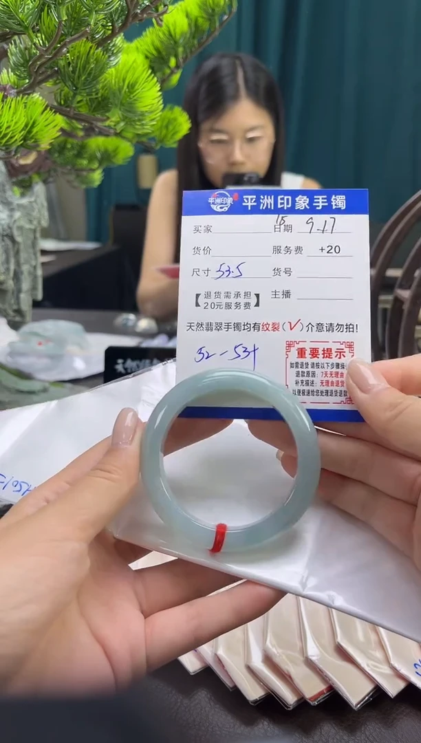 未镶嵌手镯翡翠(有鉴赏期)15