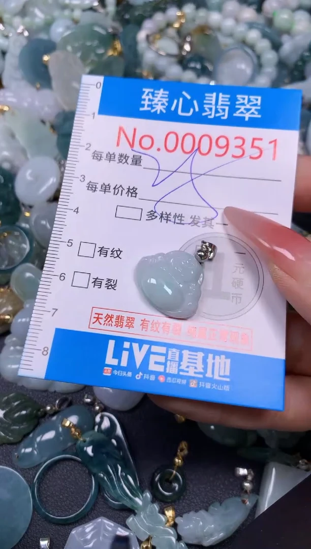 【闪购商品】翡翠颈饰未镶嵌含绳0009351