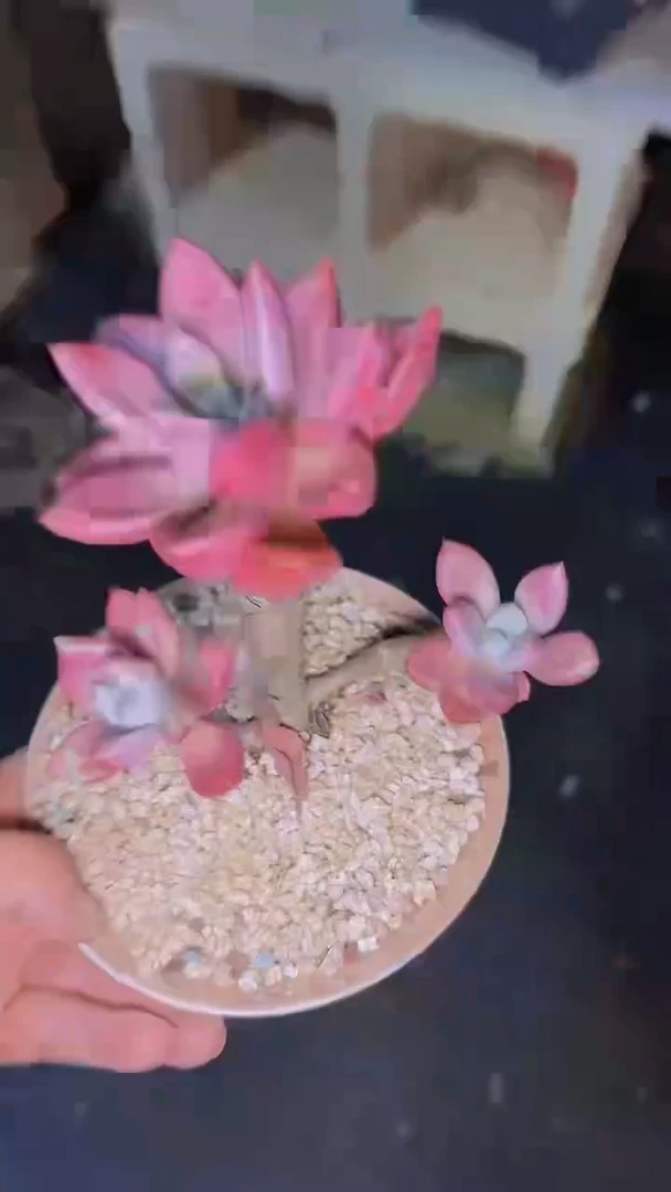 你**子A502一物一拍