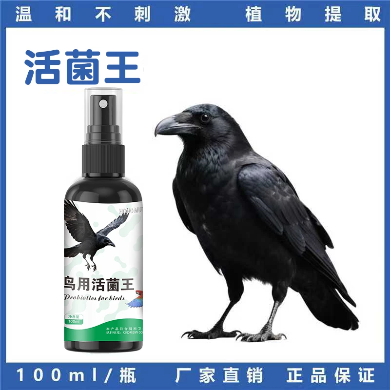 【针对性研发鸦科专用】肠道菌群健康排便活菌王食欲不振安全鸟通