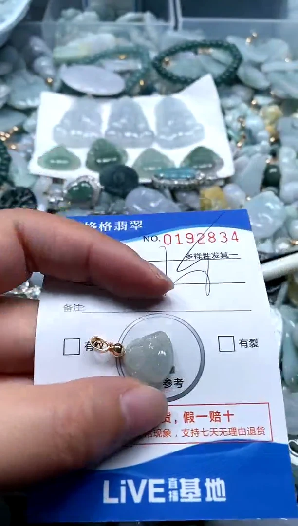 【闪购商品】翡翠颈饰未镶嵌闪购商品0192834