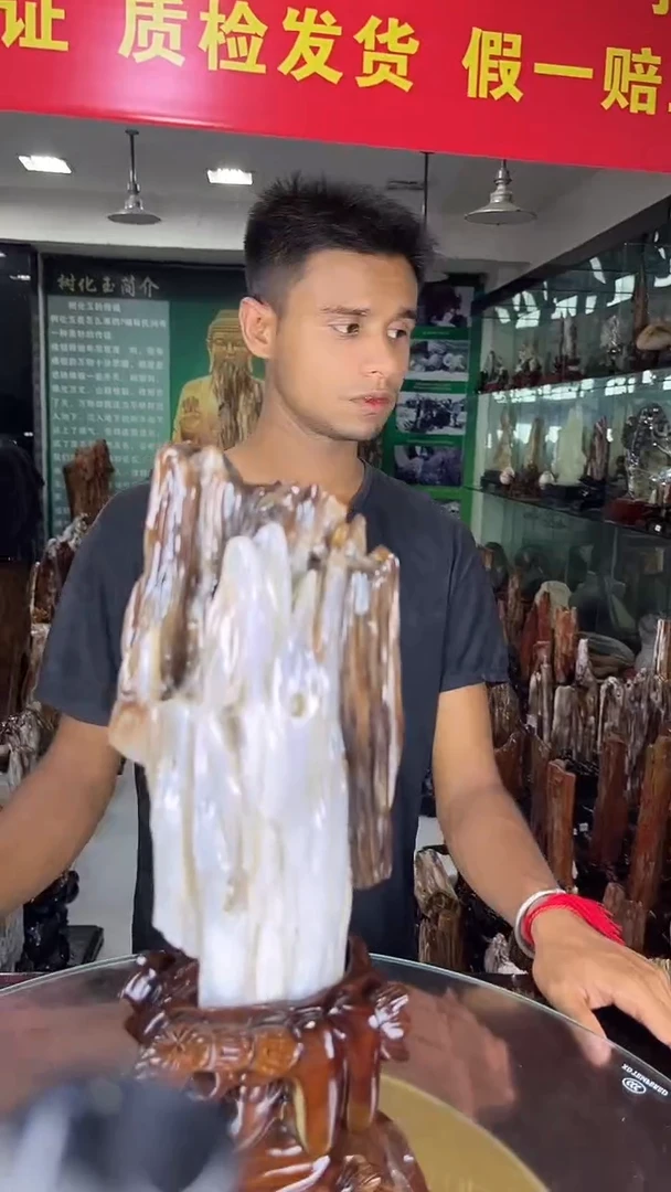 未镶嵌珠宝奇石硅化玉缅甸天然树化玉摆件