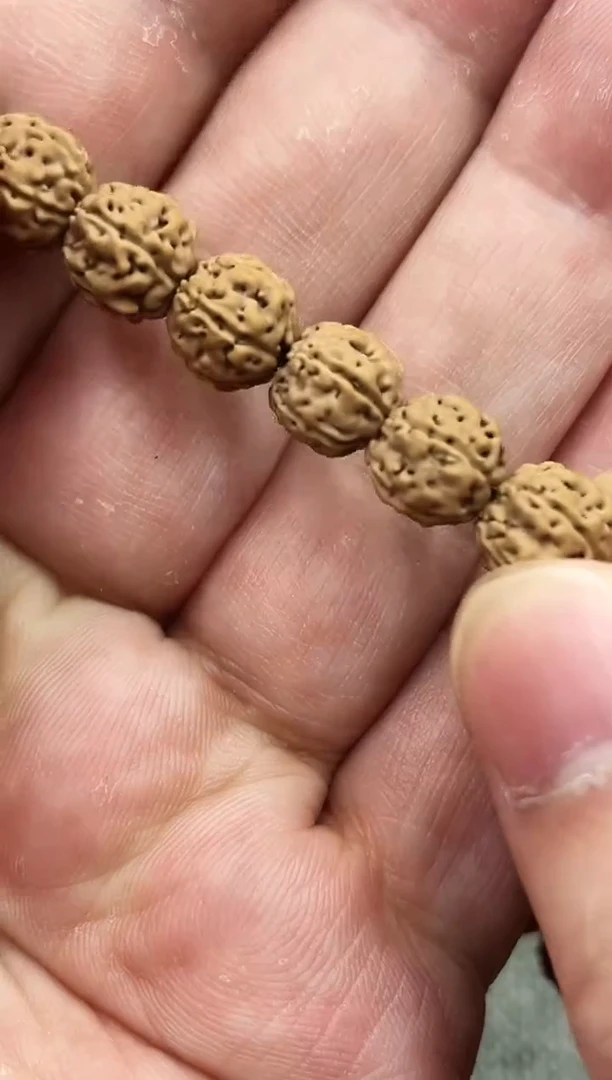 手串金刚菩提原桩二代盘龙手持  9.5mm