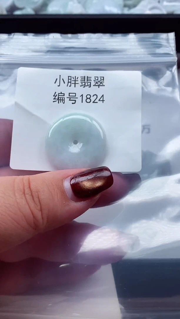 颈饰未镶嵌翡翠缅甸天然A货翡翠1824