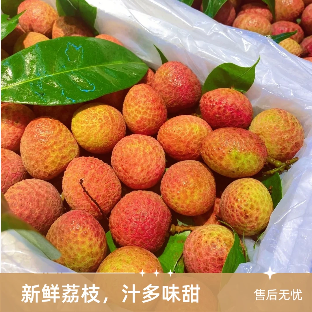 【姜婆甄选】海南桂花香荔枝，头茬新鲜 清甜多汁2斤起