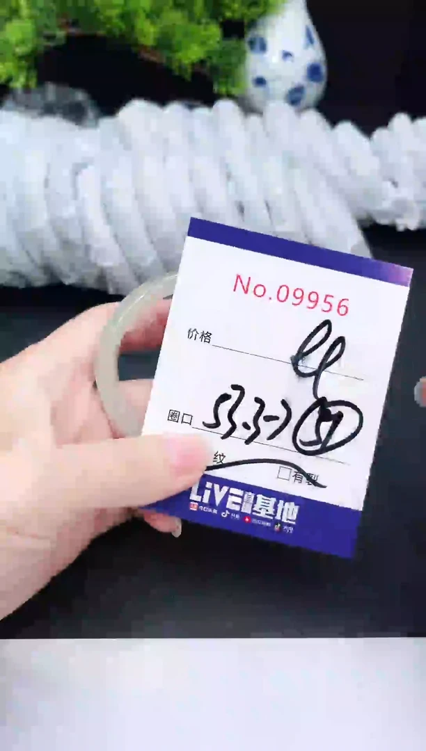 未镶嵌手镯翡翠9956