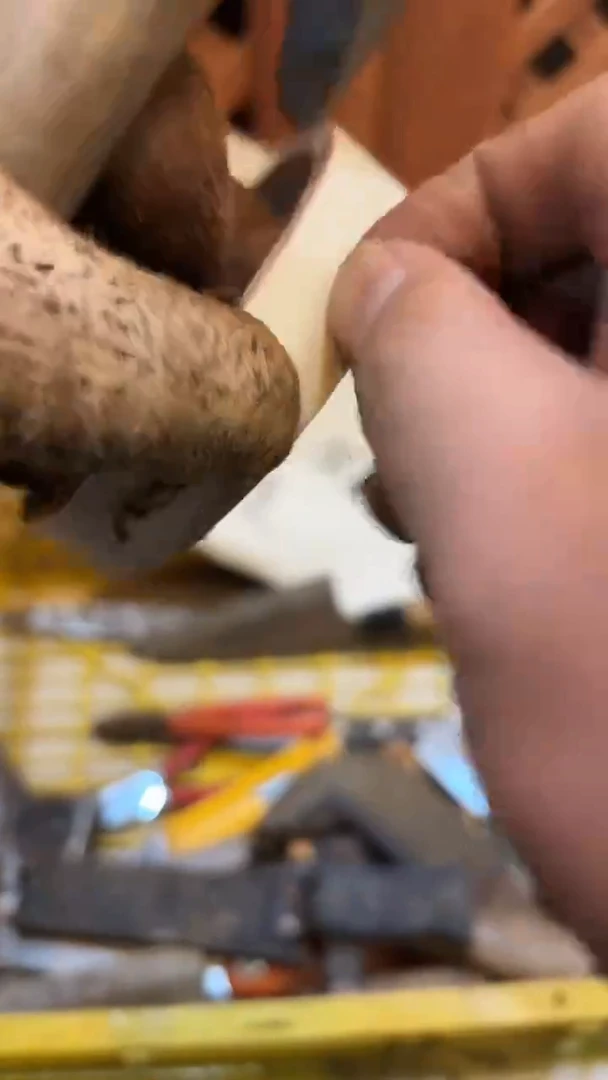 用****8嘎嘎嘎嘎嘎嘎嘎