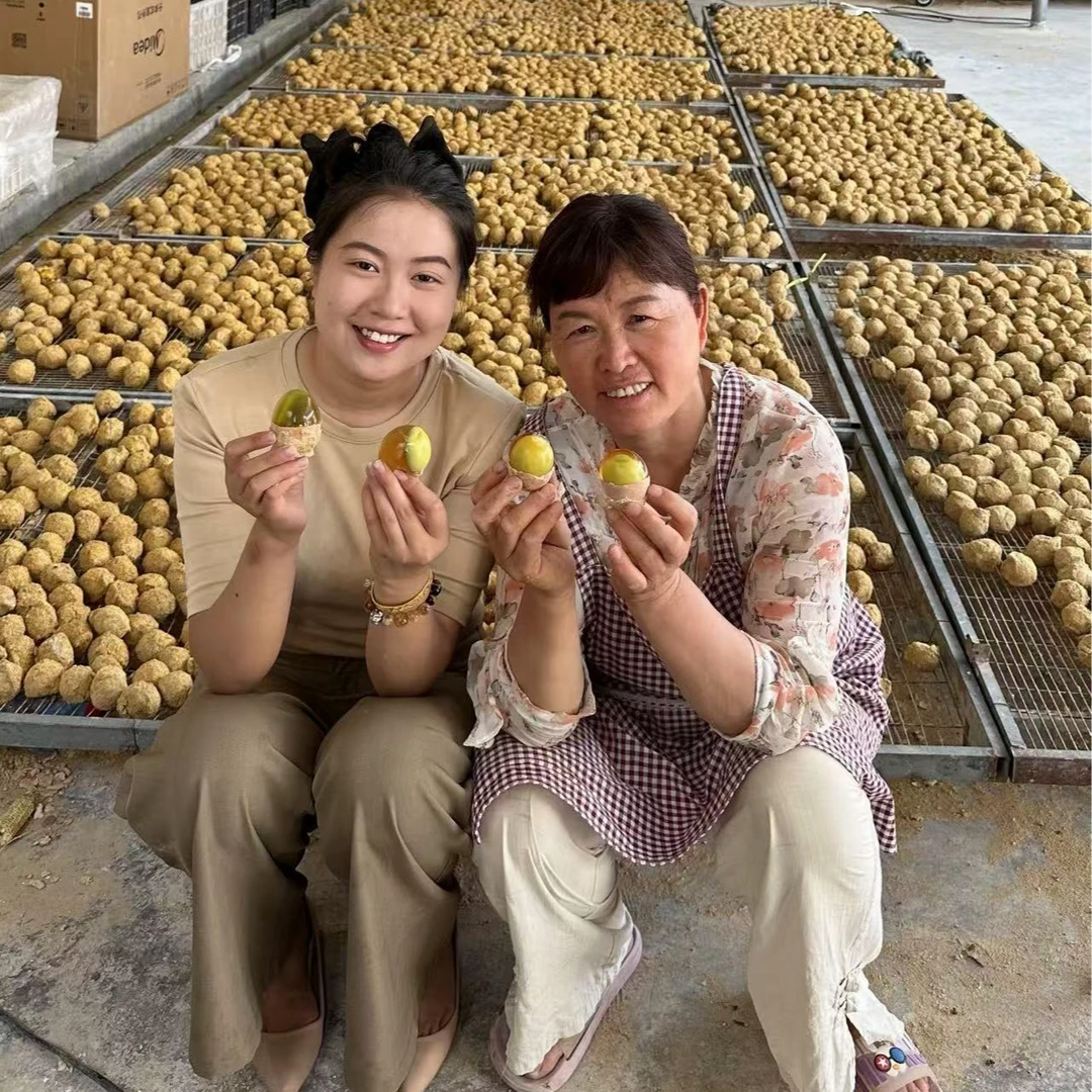 (试吃2枚)程程二姨家纯手工溏心变蛋农产 品变蛋皮蛋20枚