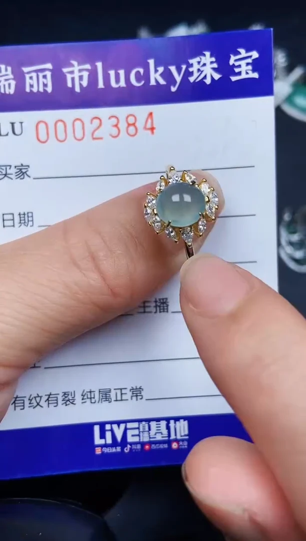 翡翠银S925镶嵌颈饰2384