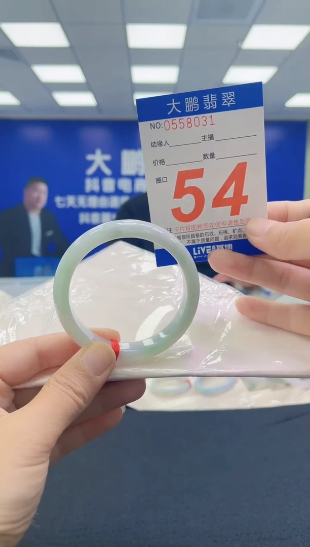 未镶嵌手镯翡翠AAAAAAAAAA