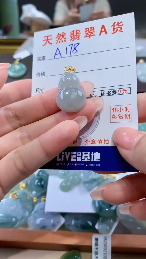 颈饰未镶嵌翡翠天然翡翠A货挂件