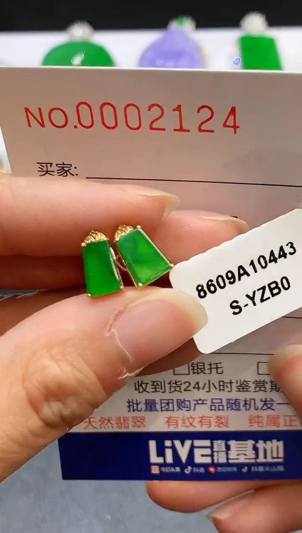 【闪购商品】翡翠耳饰18K金镶嵌2124