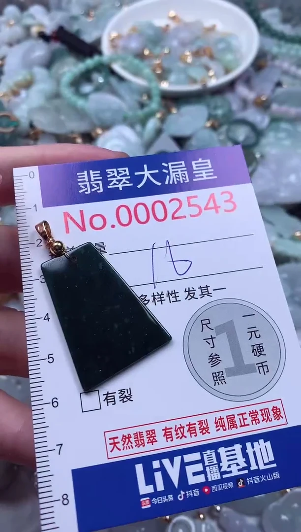 颈饰未镶嵌翡翠2543