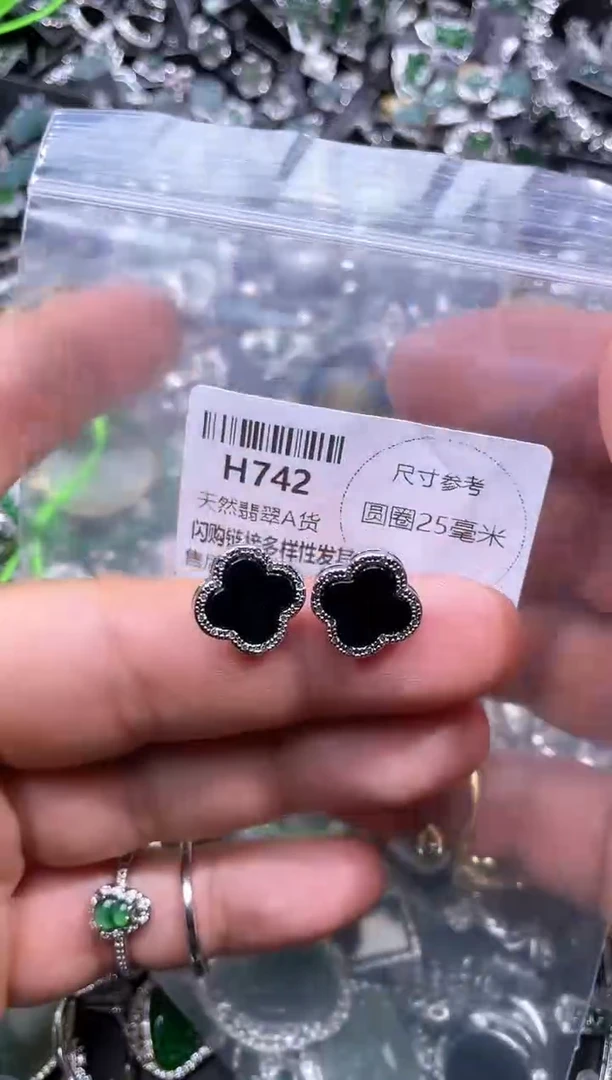 【闪购商品】翡翠颈饰未镶嵌H742耳钉