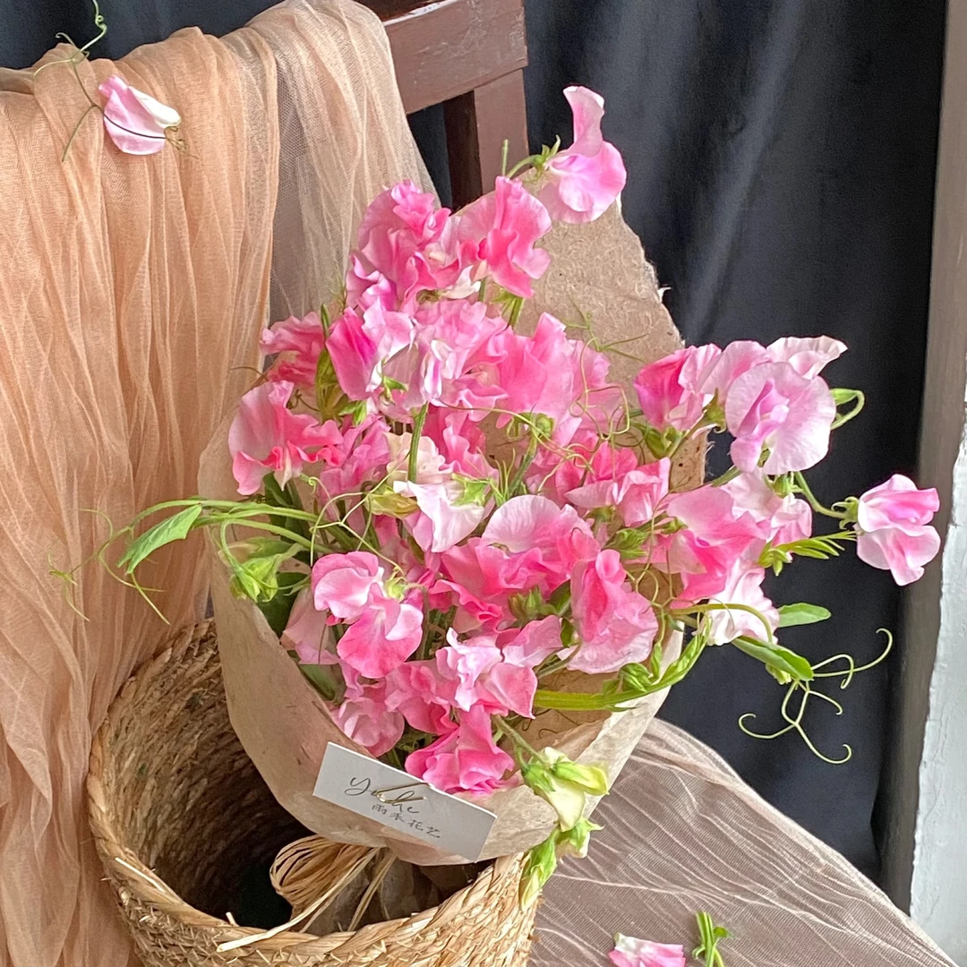 粉色豌豆花一把   云南基地鲜花直发    家养 水养