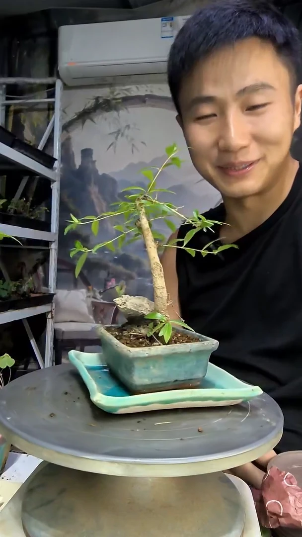 半**泡中青园艺一物一拍46