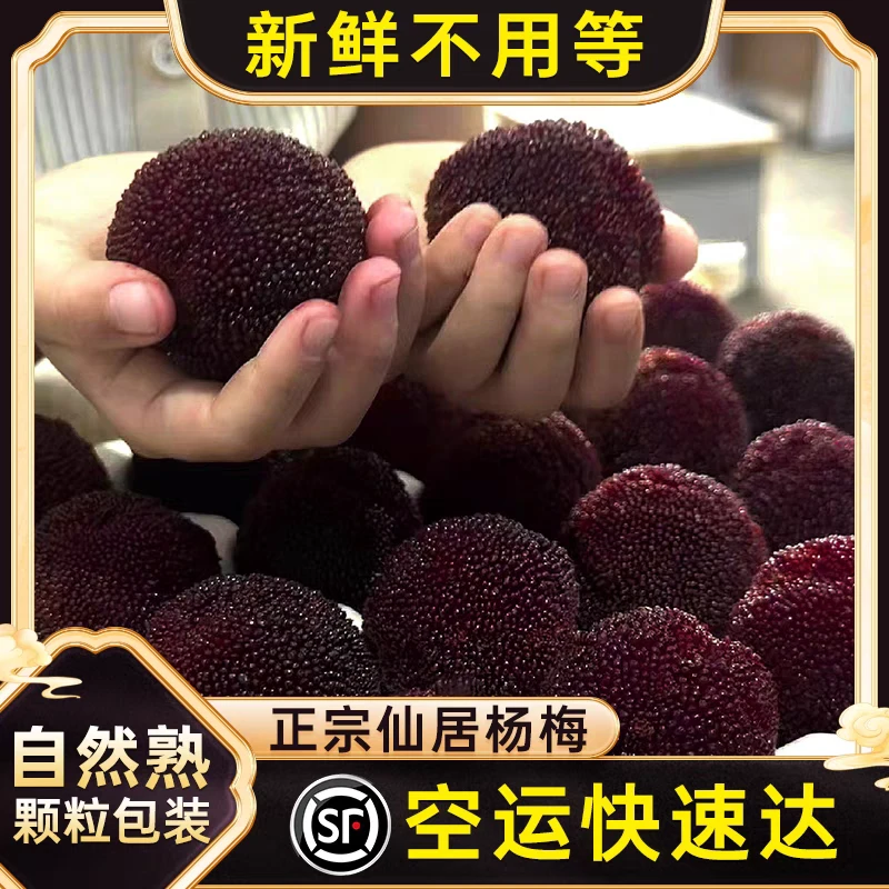 11A正宗东魁杨梅仙居东魁杨梅鲜果新鲜当季孕妇水果现摘14-38g新鲜杨梅杨梅同城送福建省