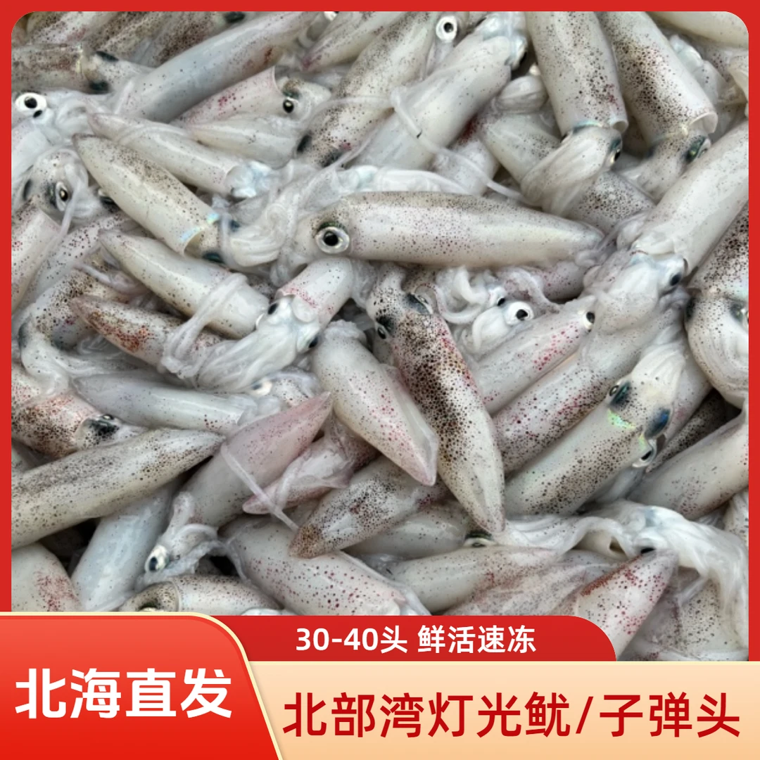 北部湾灯管鱿鱼子弹头白灼清蒸爆炒30-40头/斤北海直发