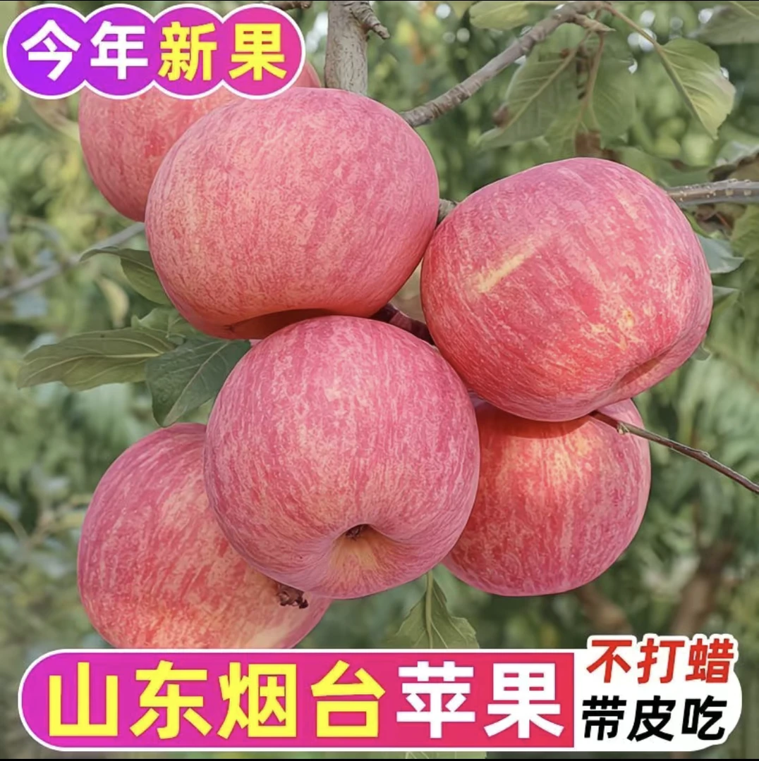 烟台苹果新鲜现摘脆甜多汁产地直供水果包邮整箱发货