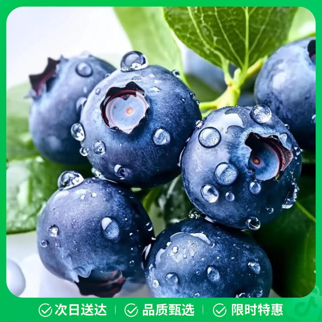 【新到精品蓝莓】 125g/盒