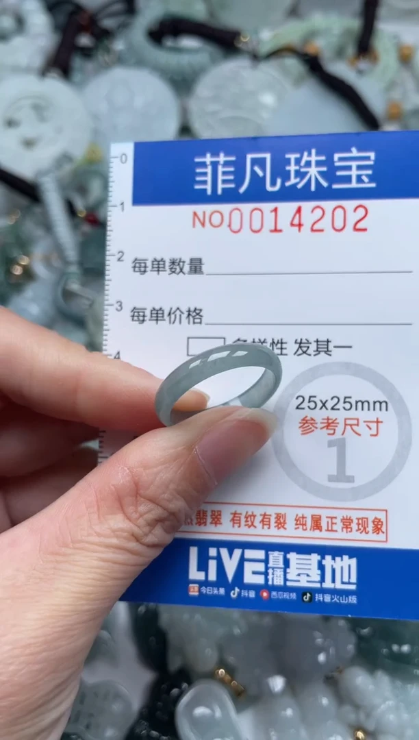 颈饰未镶嵌翡翠14202