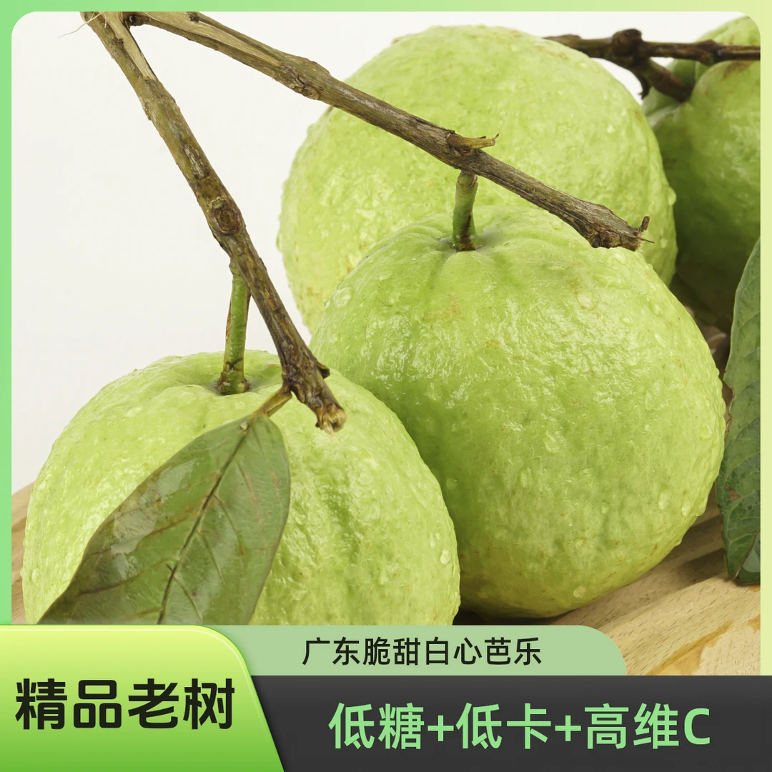 广东脆口番石榴新鲜采摘清爽脆甜白心芭乐应季低糖低卡高VC大果