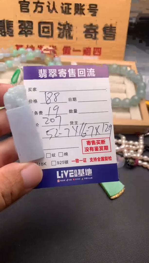 翡翠未镶嵌颈饰10132231