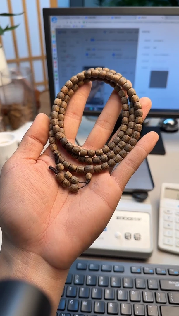 沉香手串白棋母树