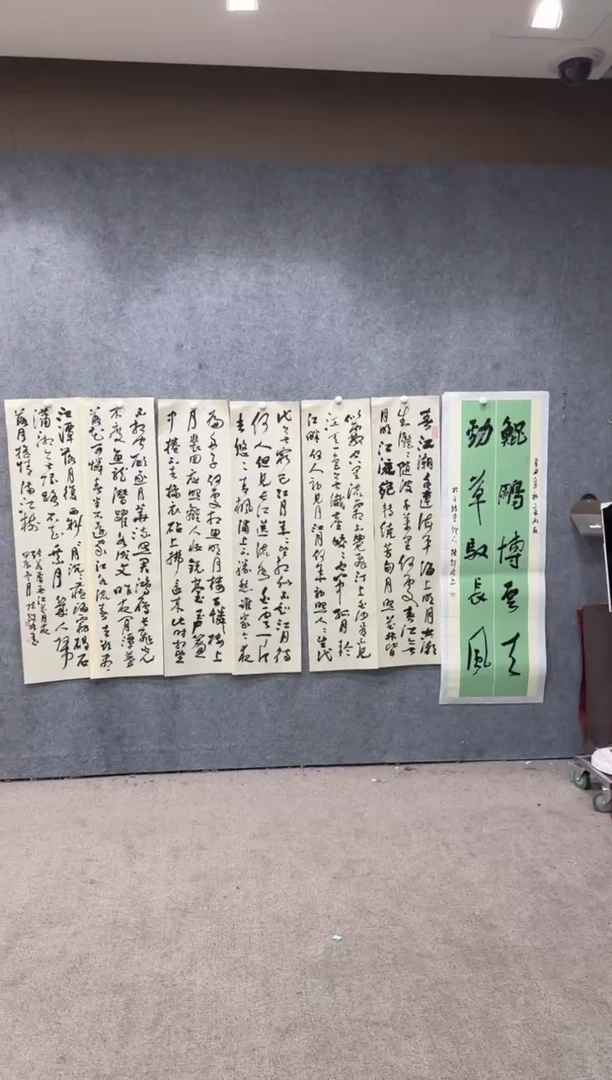 【闪购商品】书法pmw不二轩旗舰店书法CJL6