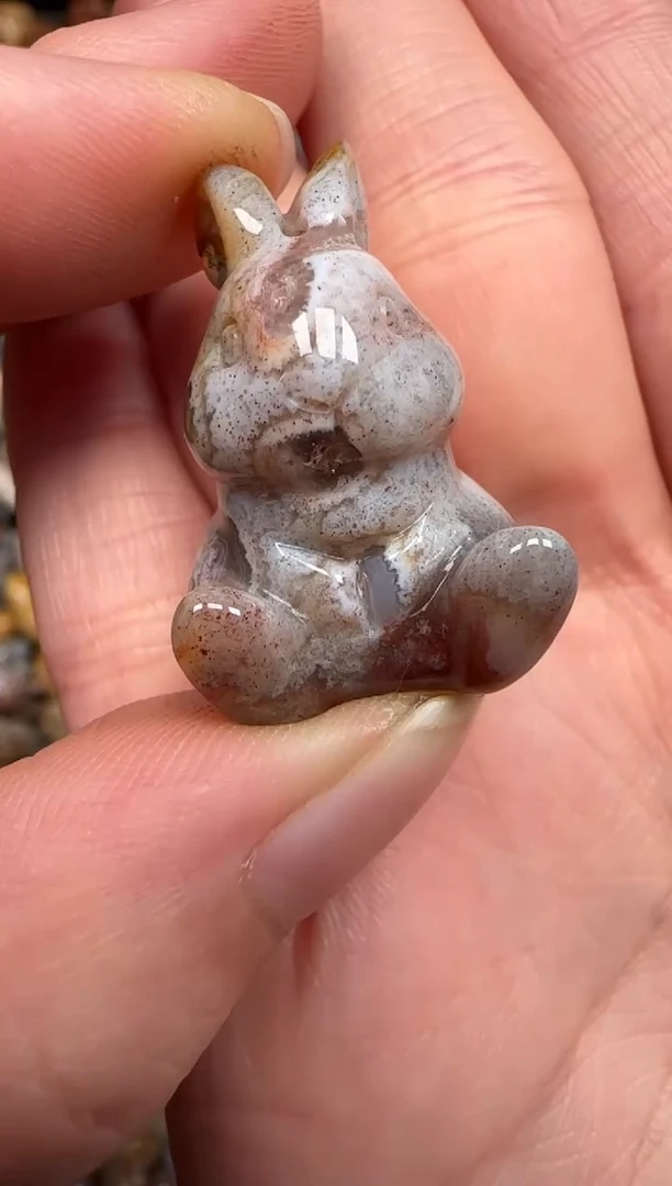 硅化珊瑚（珊瑚玉）未镶嵌颈饰350