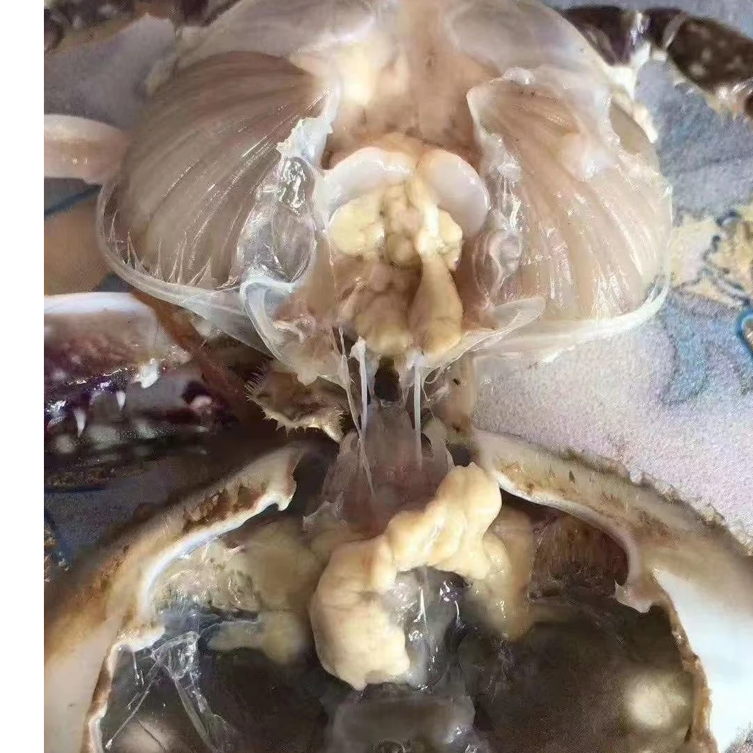 三角咸蟹子 3斤装  生吃即食 不可蒸煮 冷冻保存