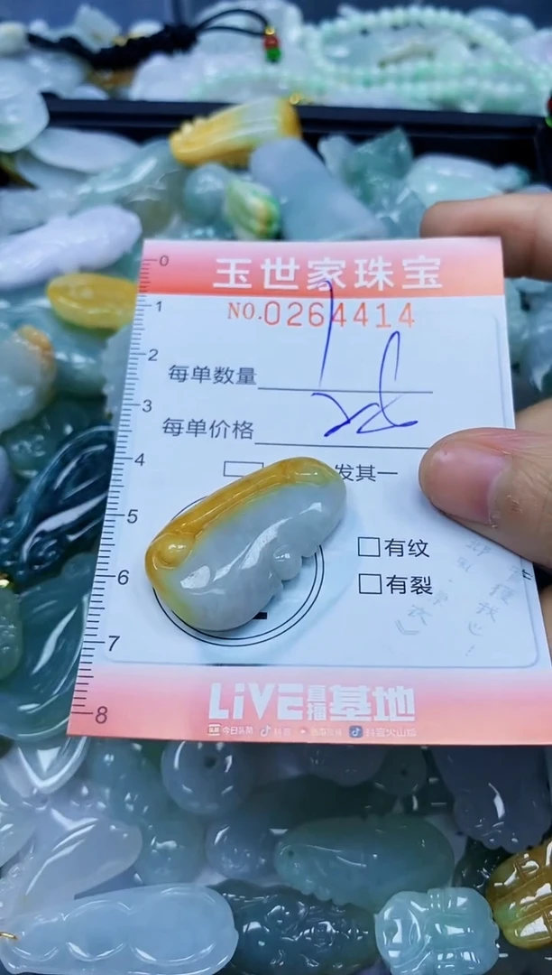 翡翠未镶嵌颈饰闪购0264414