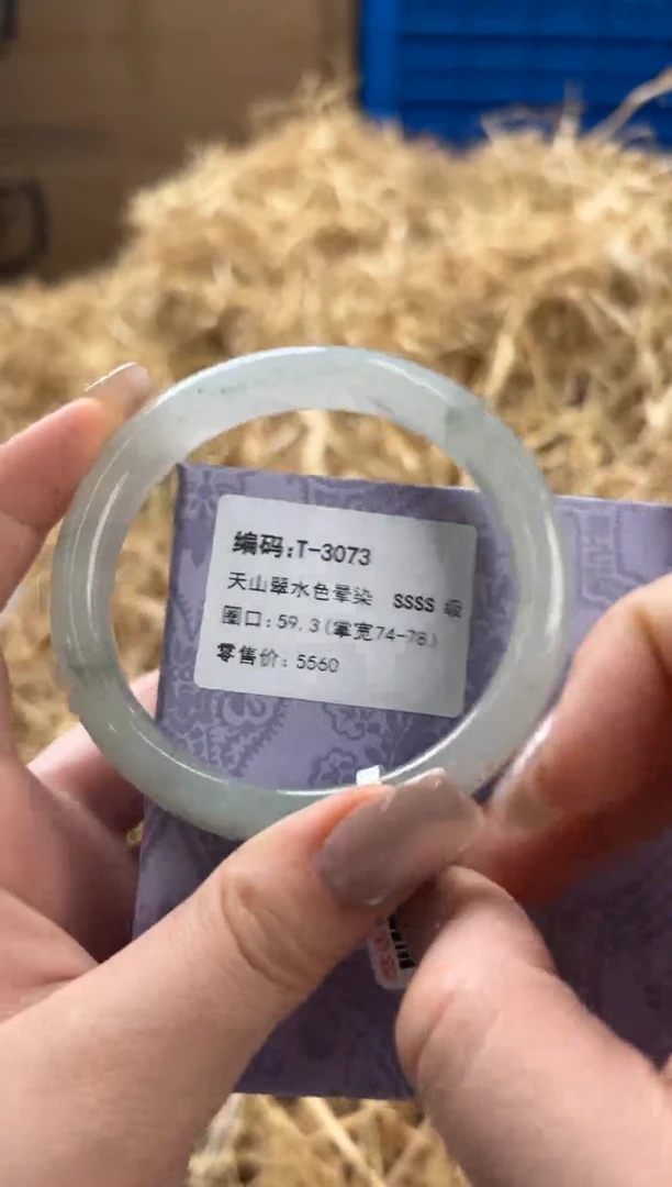 未镶嵌手镯石英质玉T-3073