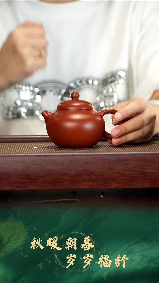 茶壶紫砂58号 朱泥 文旦 170cc