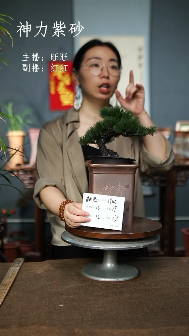 5946  紫砂花盆紫砂