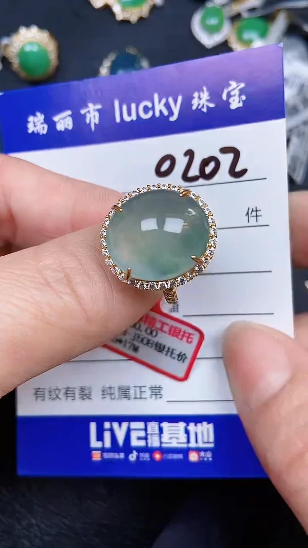 颈饰银S925镶嵌翡翠0202