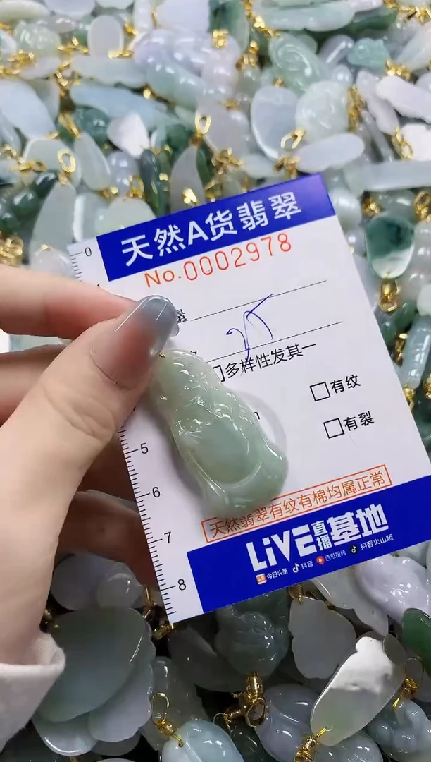 颈饰未镶嵌翡翠纯天然a货翡翠