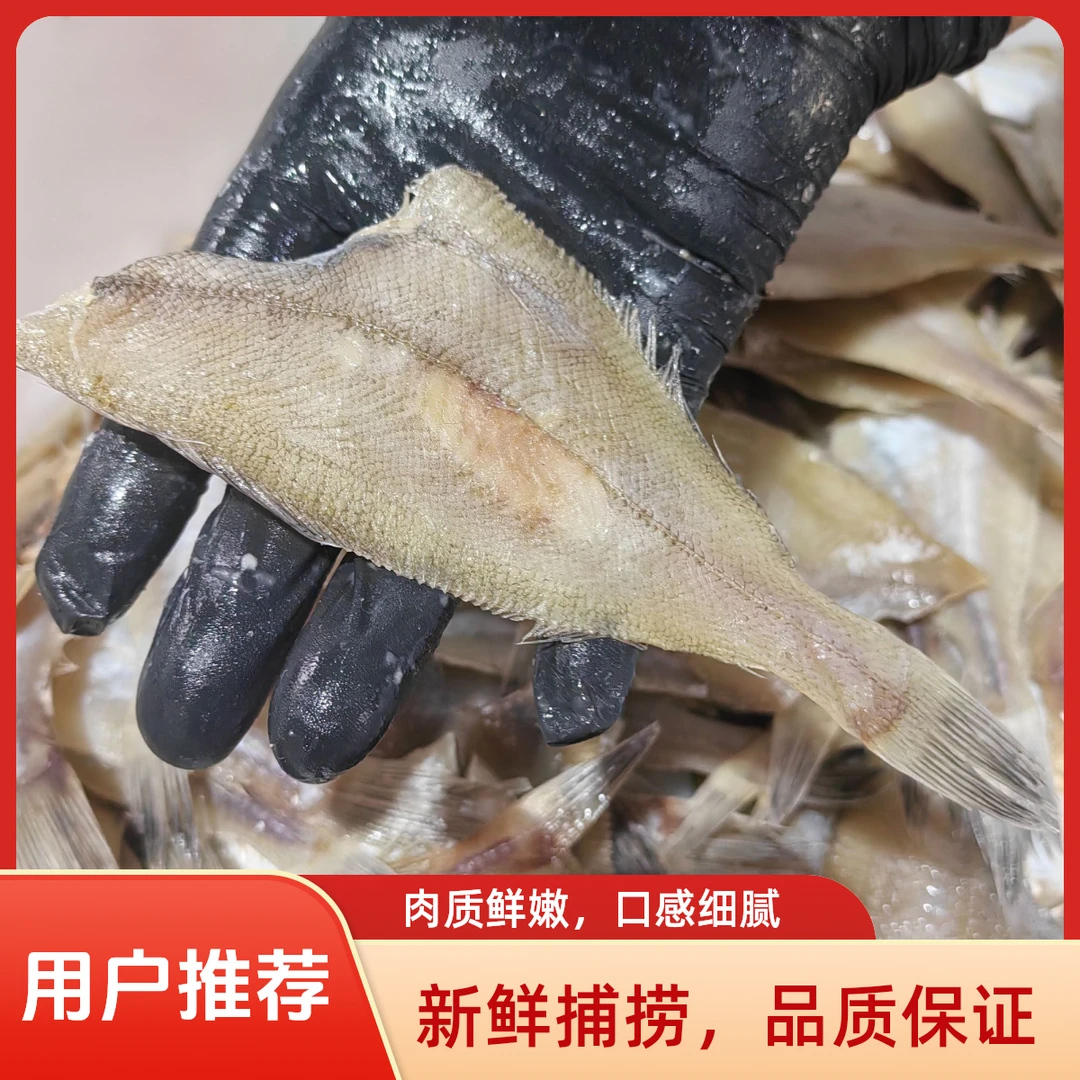 青岛一撸鲜甜晒去头偏口鱼3斤