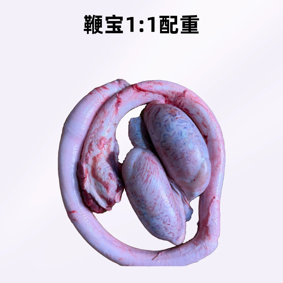 西北黄牛鞭 无头牛鞭宝