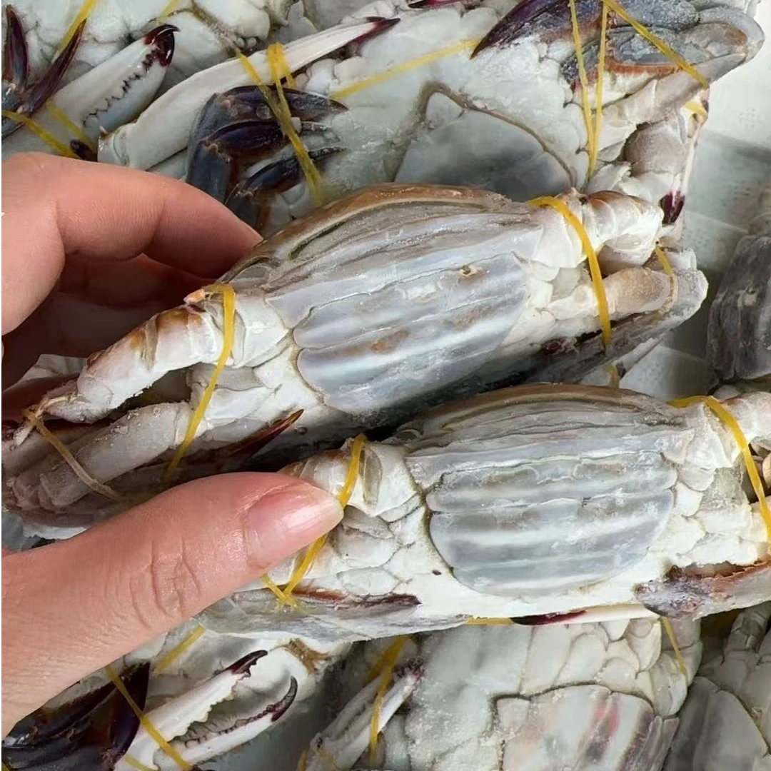 【冻蟹】舟山野生海捕梭子蟹大肉母蟹 福利品 活蟹速冻发顺丰 4两左右/只 净重4斤以上 到手12只